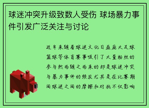球迷冲突升级致数人受伤 球场暴力事件引发广泛关注与讨论